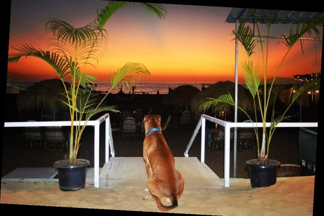 Baywatch Beach Resort Patnem Canacona Dış mekan fotoğraf